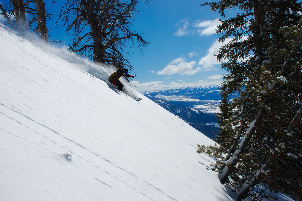 skier Skier
